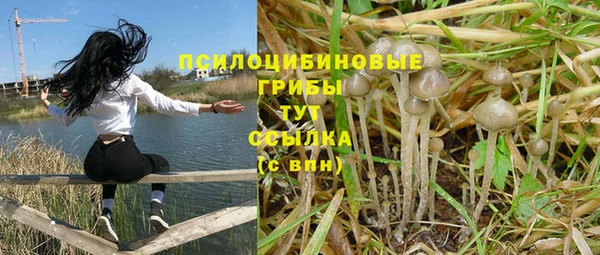 стафф Алексеевка