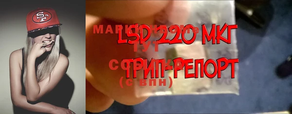 a pvp Алзамай